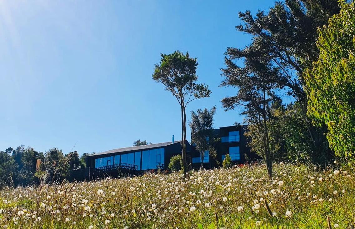 Hotel & Cava Estancia Rilan カストロ エクステリア 写真